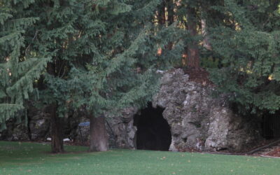 Riaperti gli spazi interni della grotta di Villa Olmo