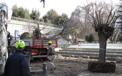 Gelsi e ambienti rurali delle ville lariane