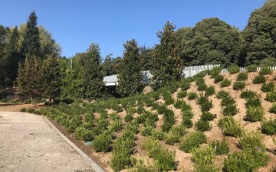 Visita guidata AIAPP Lombardia